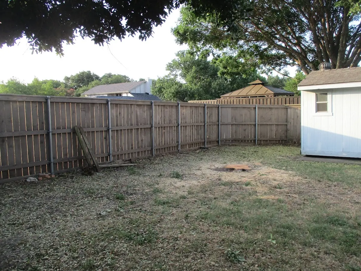 Cleared yard after professional tree removal in Dacula
